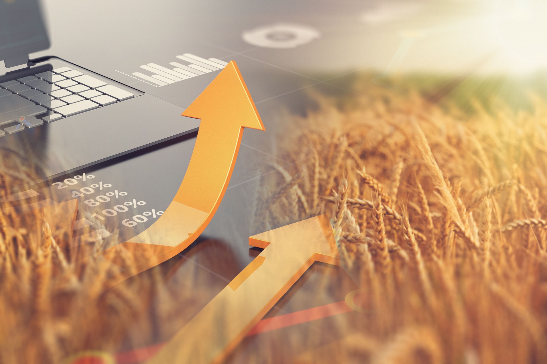 Agricultural Analysis Commodity Grain Stock Chart Market and Cultivation. Global Food Crisis Concept Presentation.