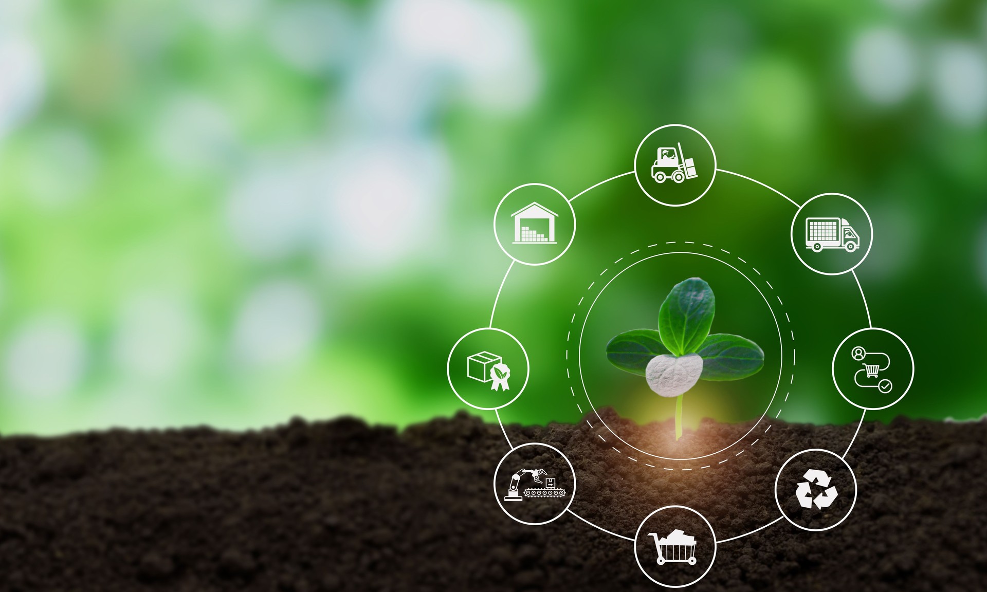Green and sustainable supply chain concept. Integration of environmentally friendly practices into the supply chain process, from sourcing raw materials to delivering products to custom.